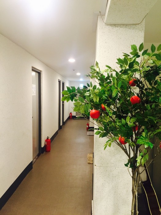 Empathy Dongseongro Guesthouse - Hostel 38/79