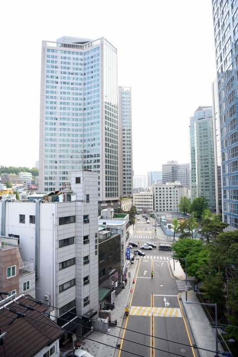 Namsan Forest In Myeongdong 24/56