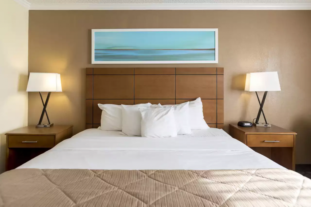 Clarion Hotel Detroit Metro Airport 16/49