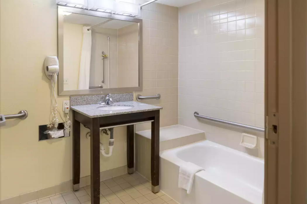 Clarion Hotel Detroit Metro Airport 15/49