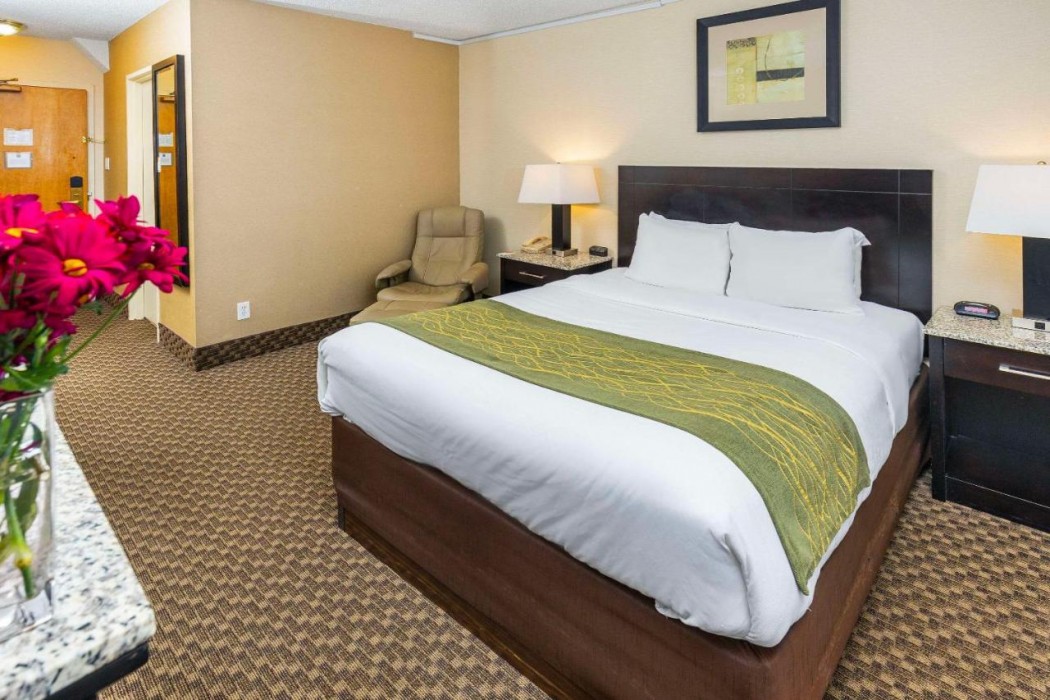 Comfort Inn & Suites Edmonton Downtown 17/34