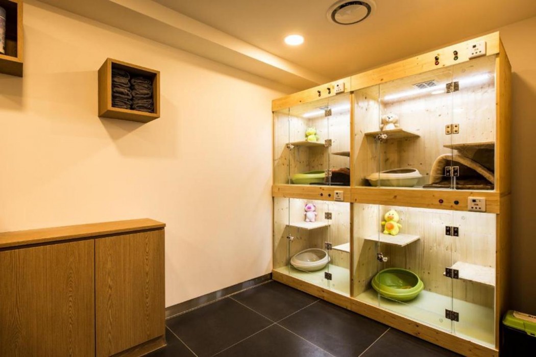The Petel Premium Suite(with Pet only) 23/33