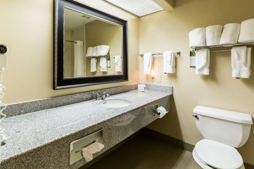 Comfort Suites Westchase Houston Energy Corridor 21/54