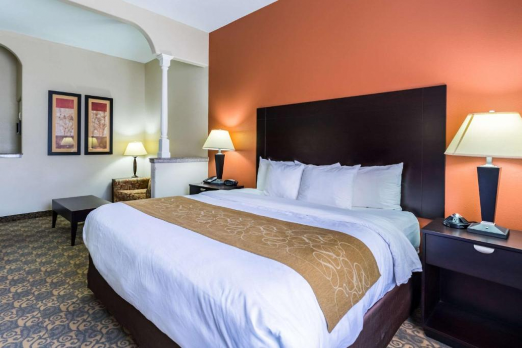 Comfort Suites Westchase Houston Energy Corridor 20/54