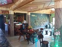 Friendly Resort & Spa 18/42