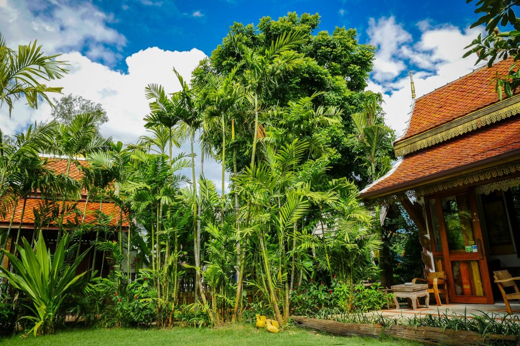 Hongkhao Village 60/100