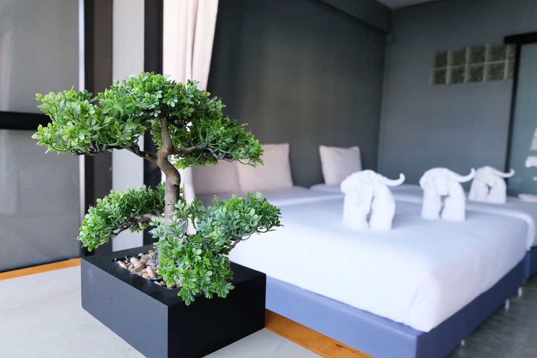 Chiang Mai Hipster Mini Hotel 11/84