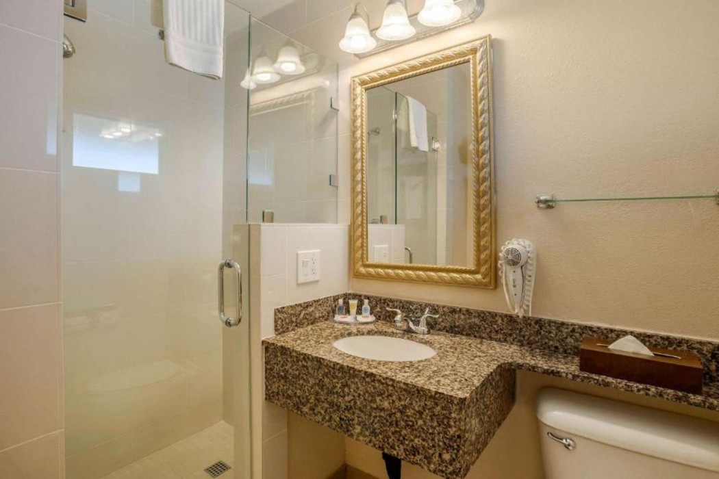 Comfort Inn San Diego Airport At The Harbor 11/31
