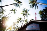 Carpe Diem Guest House 19/72