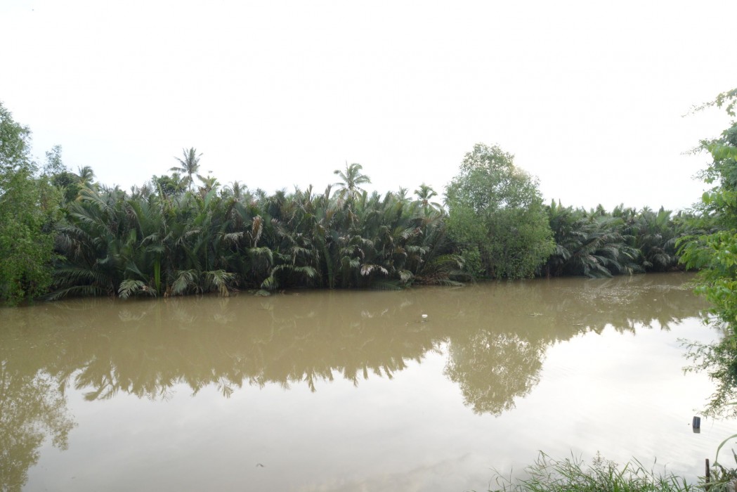 Sucholtee Resort 50/90
