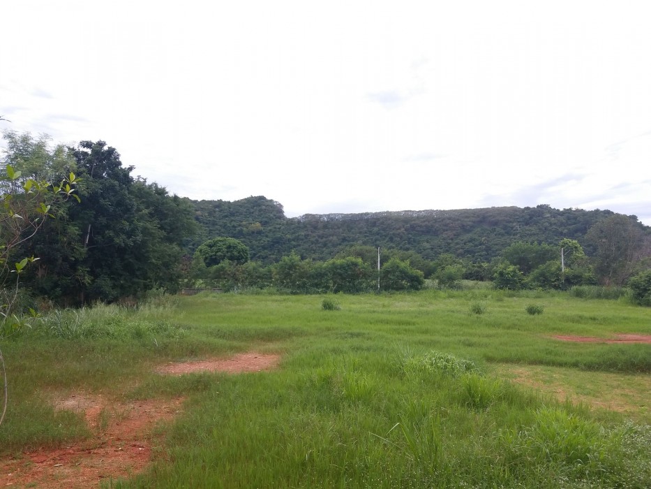 Suannoina Resort 31/59