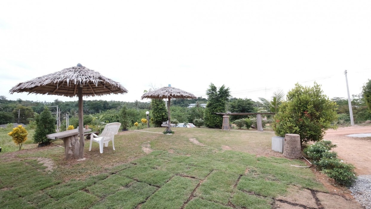 Cat Bungalow 22/66