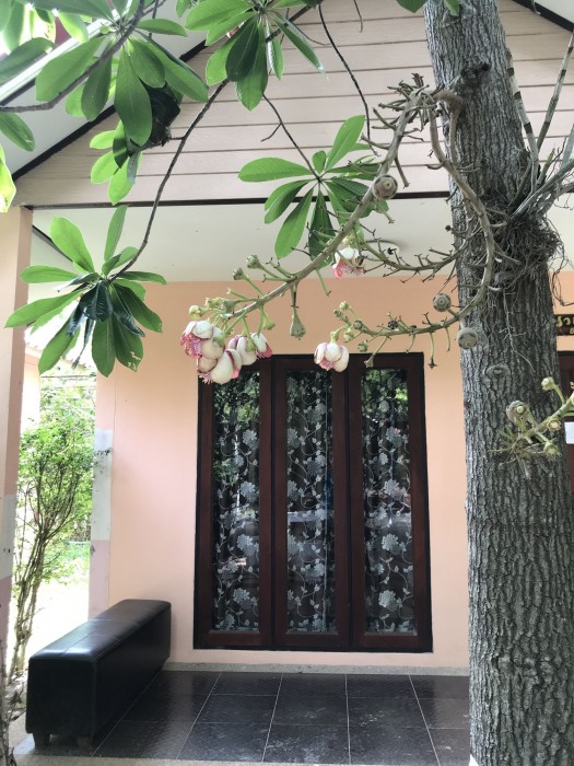 Green Leaf Resort 34/65