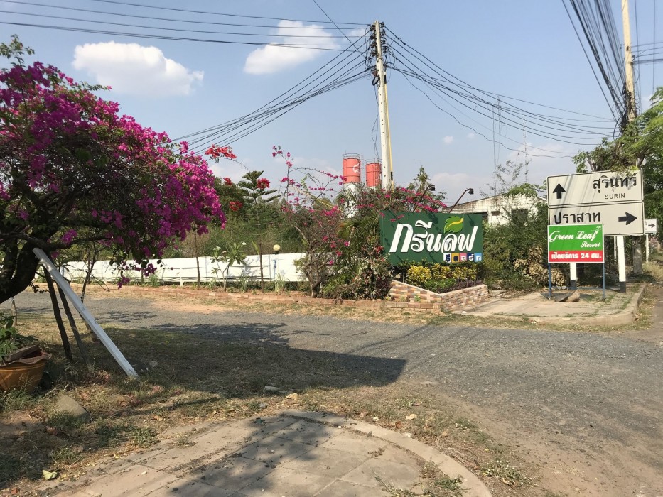 Green Leaf Resort 33/65