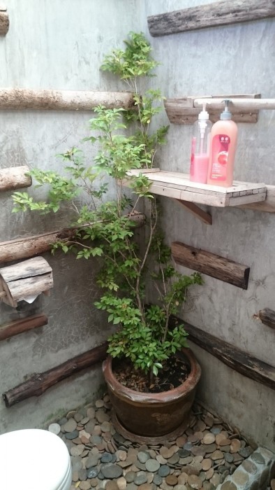 Husband & Wife Guesthouse 20/66