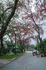 San Paisan Resort 43/95