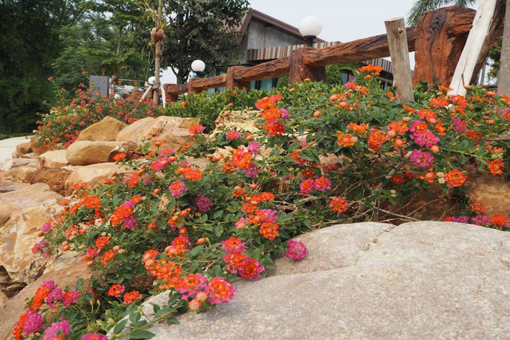 The Canal Garden Resort 23/60