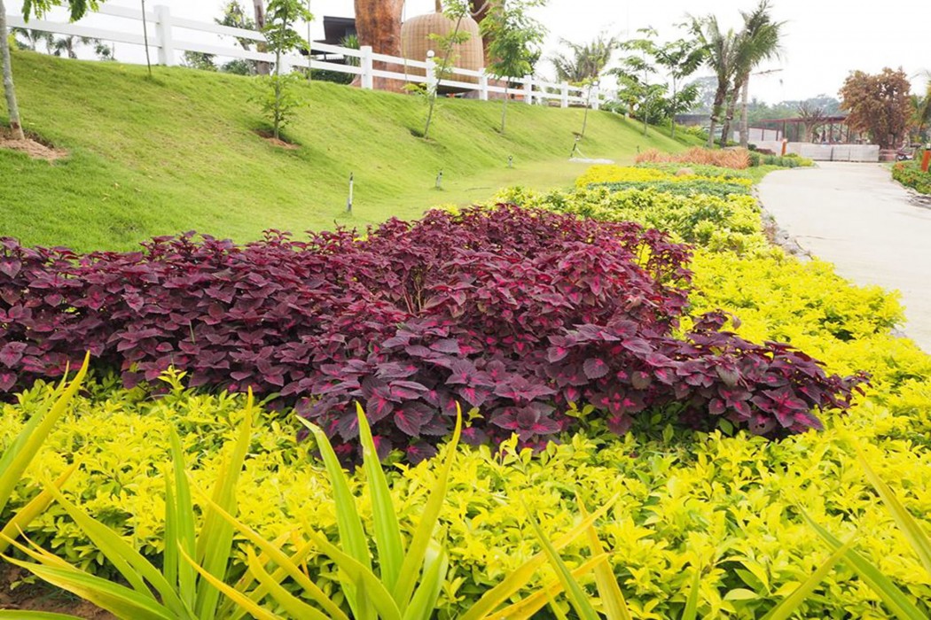 The Canal Garden Resort 40/60
