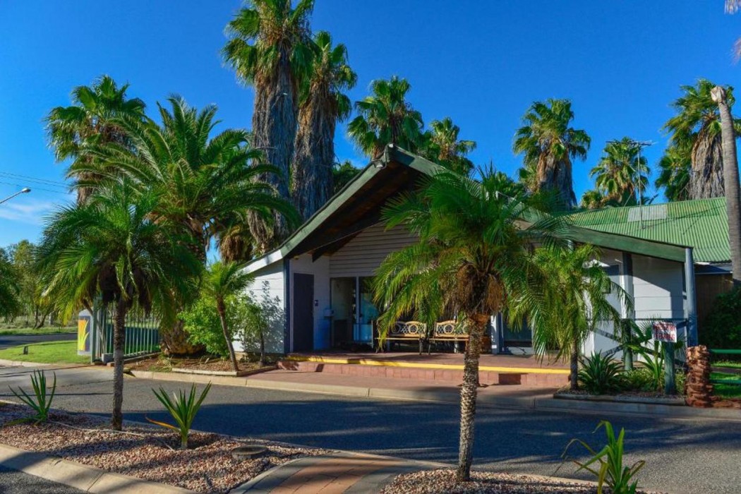 Desert Palms Alice Springs 1/28