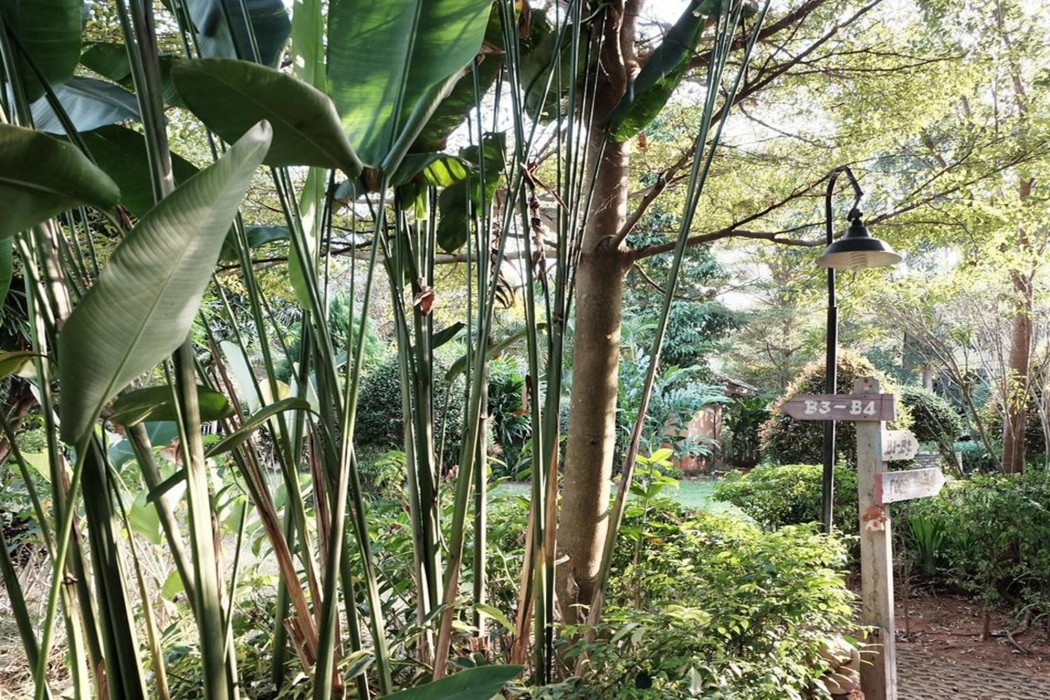Khao Yai Cottage 54/81
