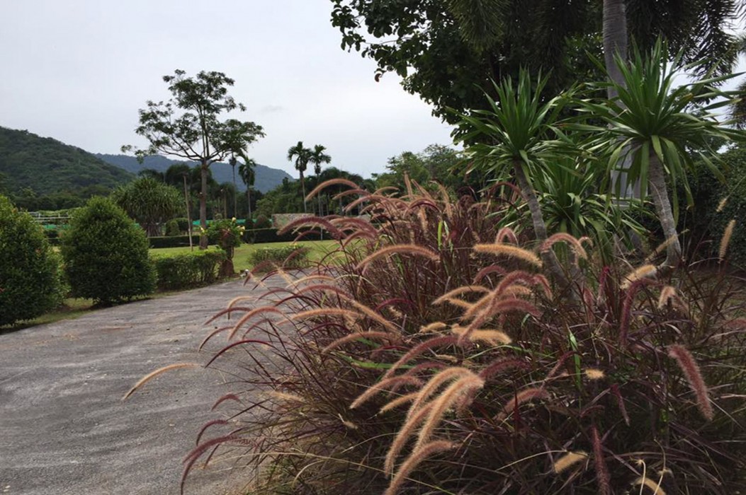 Kong Garden Resort 37/70