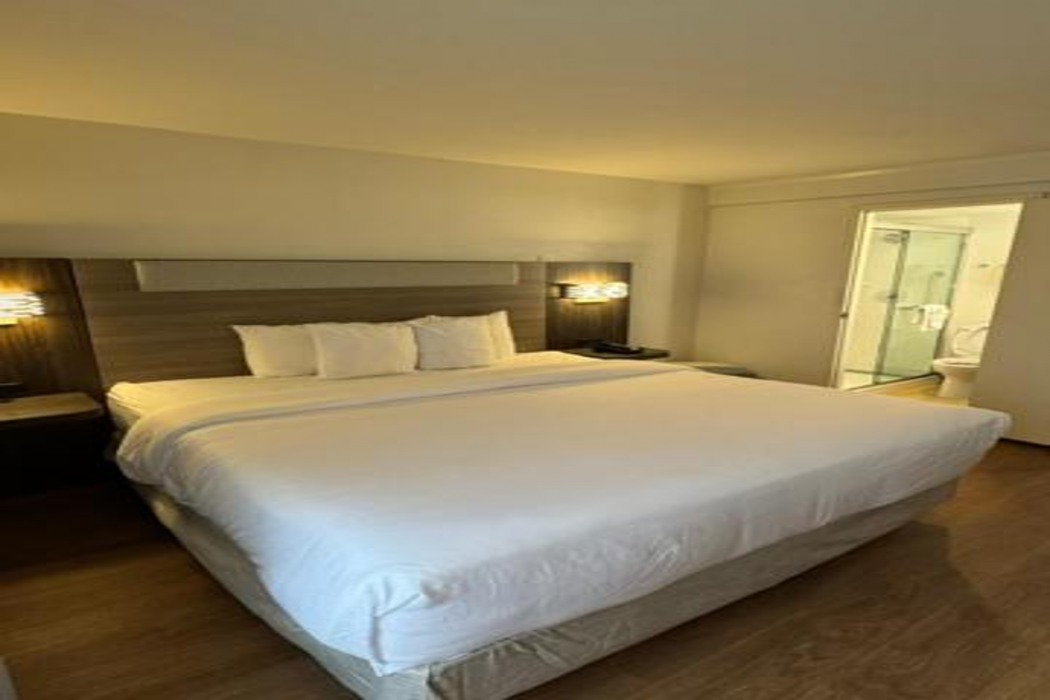 Holiday Inn Express Denver Central - North 18/64