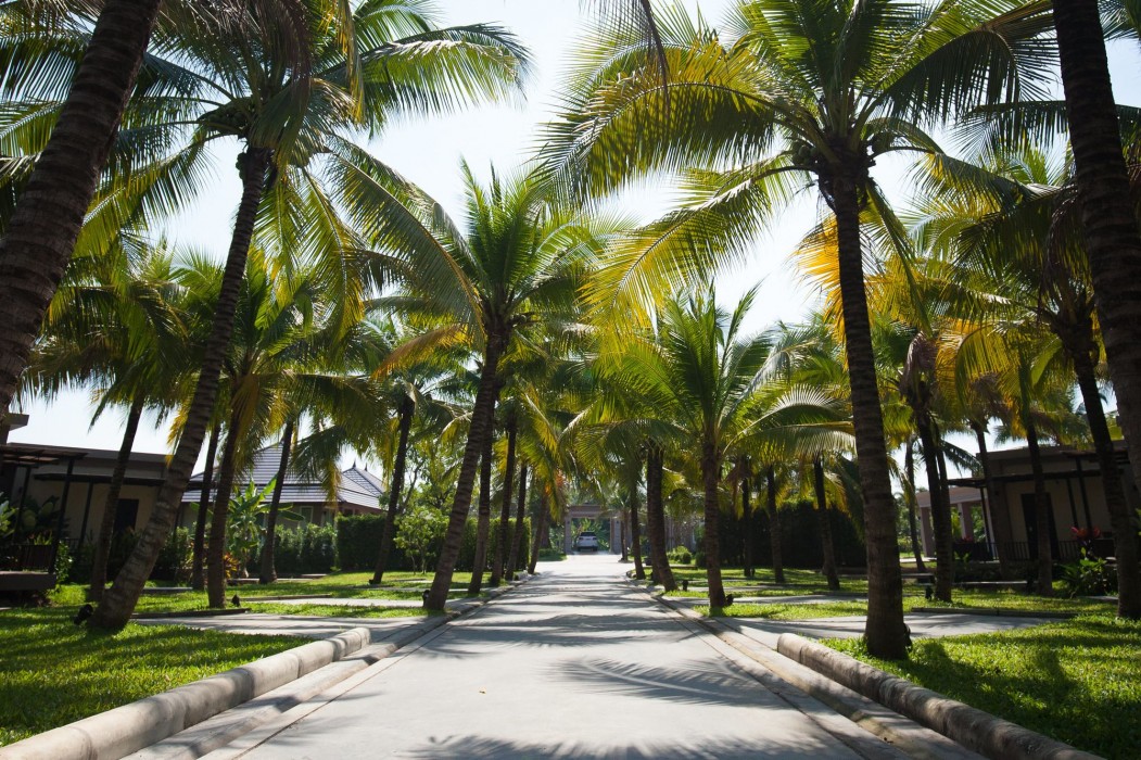 Dream Garden Resort 23/47