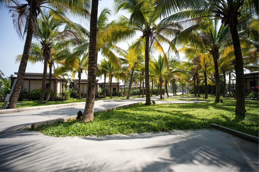Dream Garden Resort 11/47