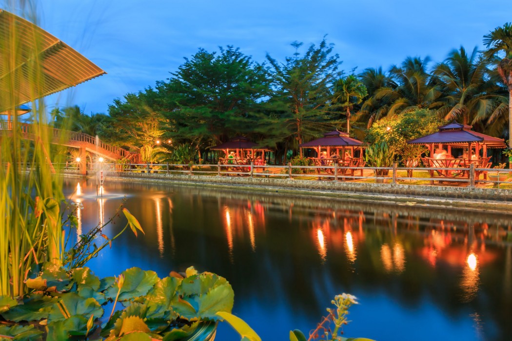 Coconut Resort 41/74