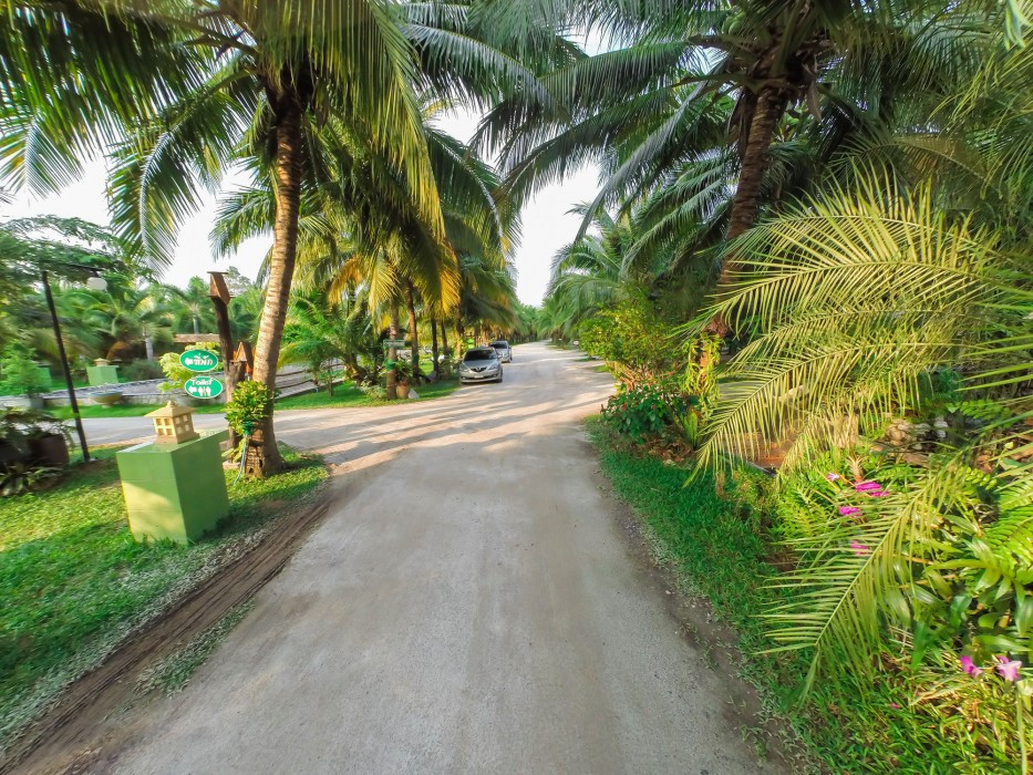 Coconut Resort 33/74