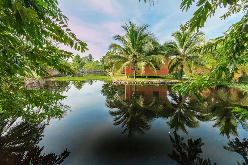 Coconut Resort 38/74