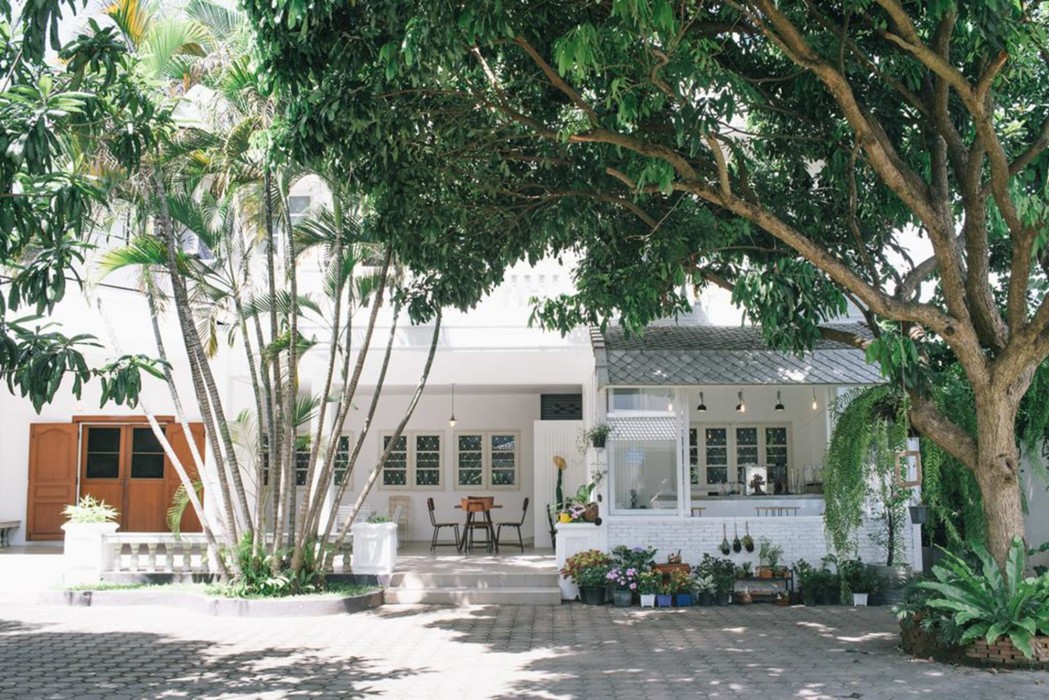 Double Tree House 55/84