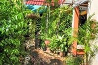 All In 1 Guesthouse Chiang Mai 30/74