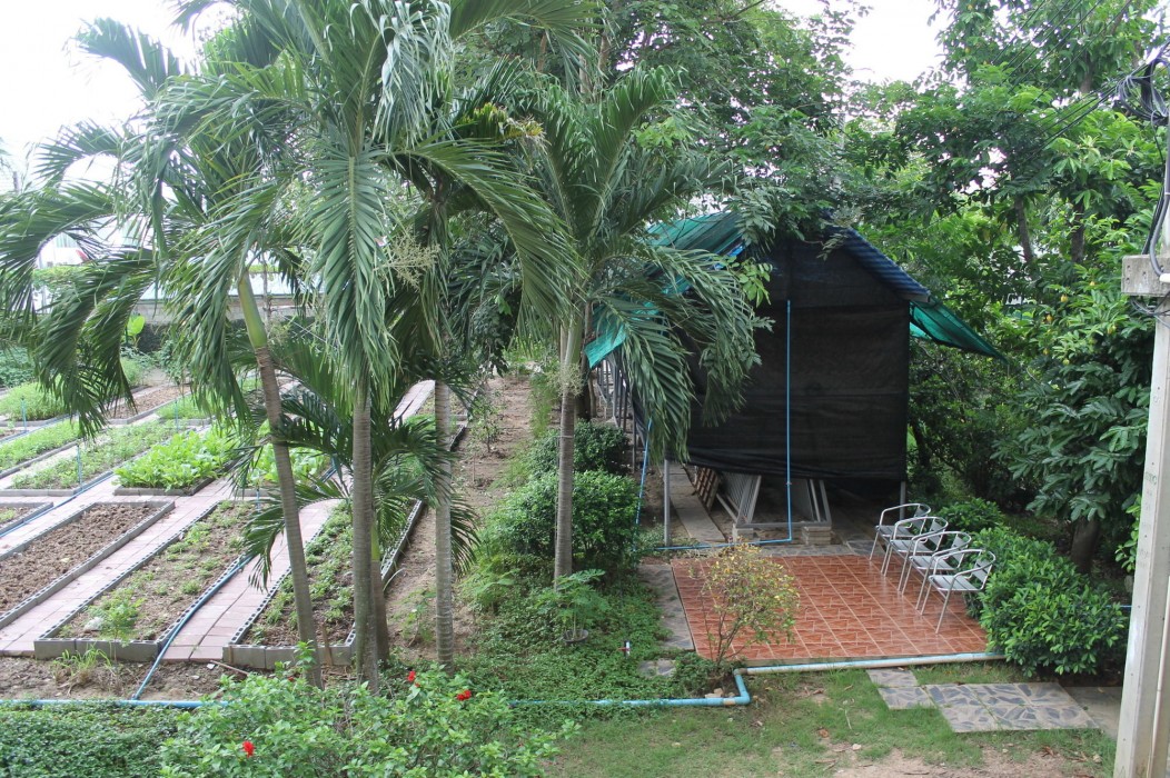 Rattana Park Hotel 63/98
