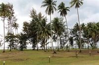 Koh Chang Long Stay Resort 15/68