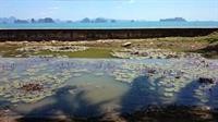Holiday Resort Ko Yao 47/90