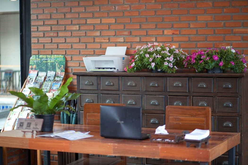 Celosia Chiang Mai 34/70