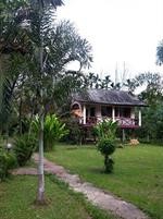 Nung House Bungalows Jungle Trekking 41/96