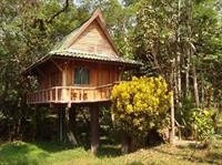 Nung House Bungalows Jungle Trekking 19/96