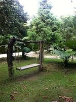 Nung House Bungalows Jungle Trekking 18/96