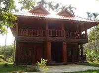 Nung House Bungalows Jungle Trekking 21/96