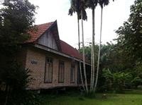 Nung House Bungalows Jungle Trekking 36/96