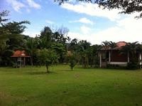 Nung House Bungalows Jungle Trekking 44/96