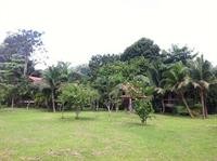 Nung House Bungalows Jungle Trekking 39/96