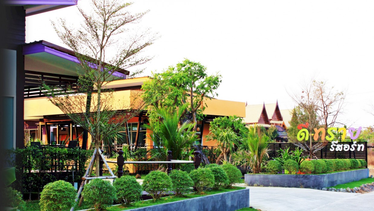 D-Sine Resort 76/100