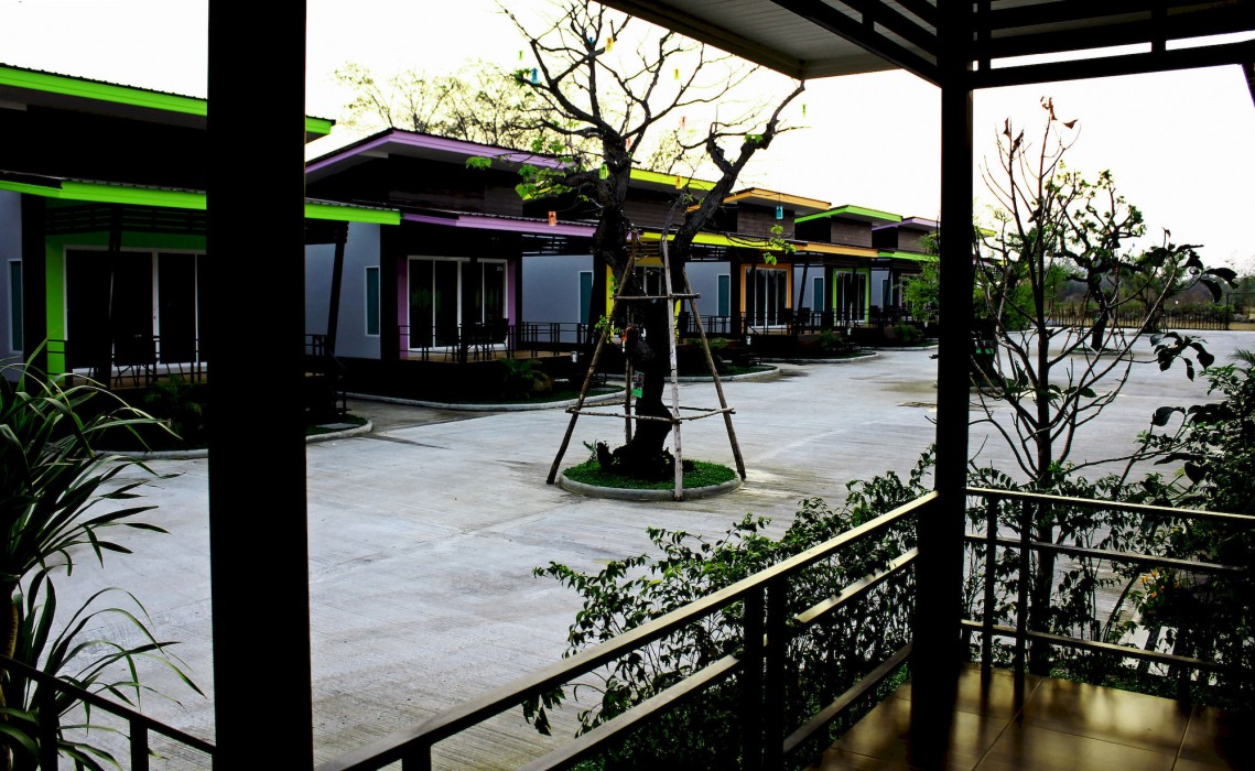 D-Sine Resort 60/100