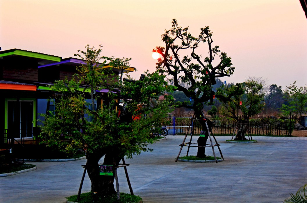 D-Sine Resort 31/100