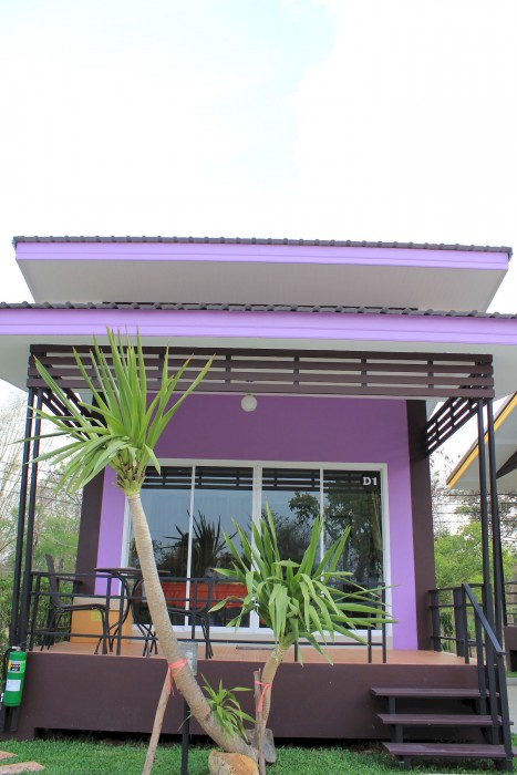 D-Sine Resort 36/100