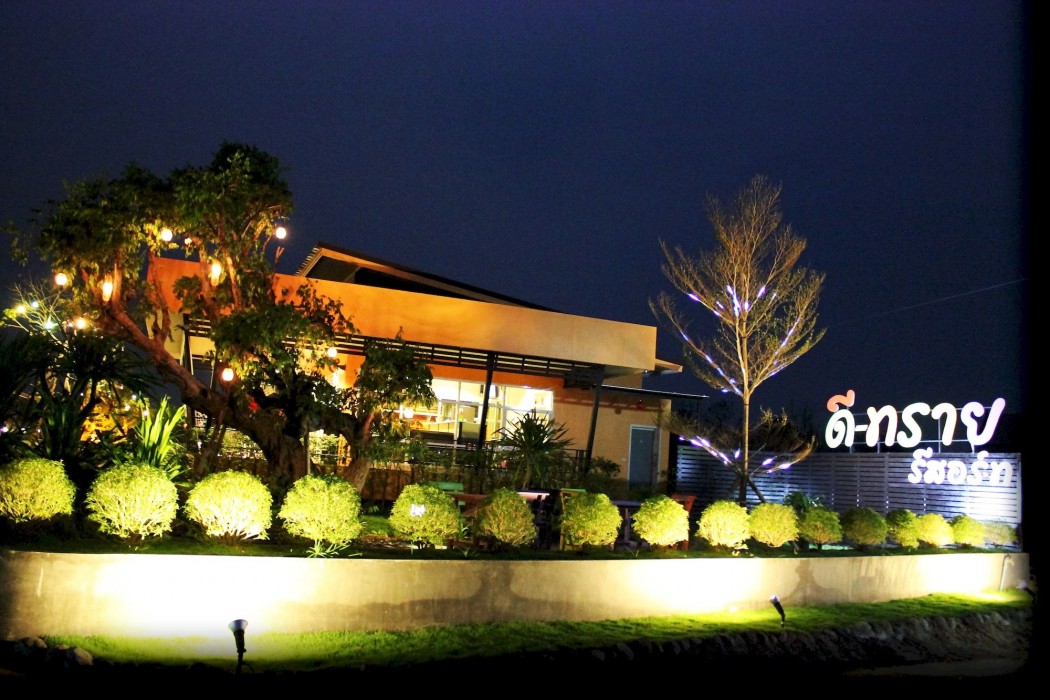 D-Sine Resort 39/100