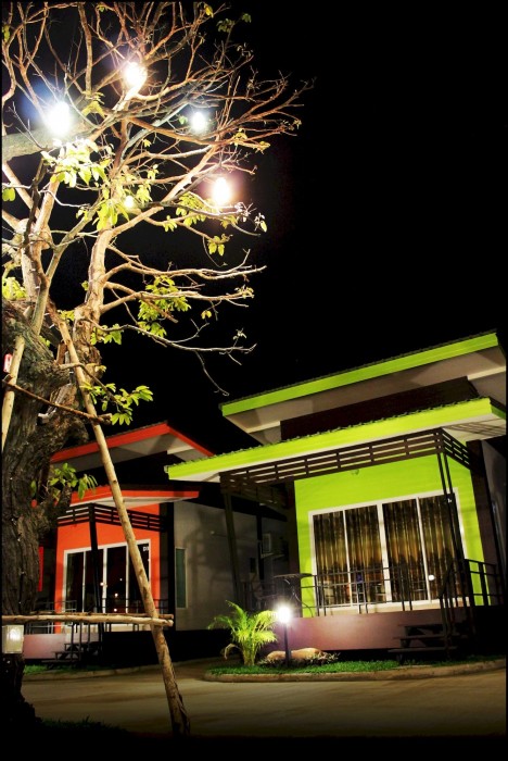D-Sine Resort 51/100